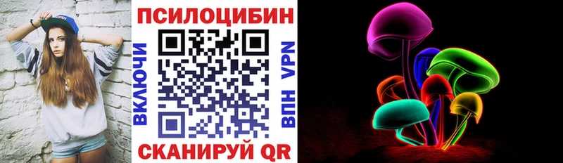 Купить  Чухлома  Псилоцибиновые грибы Magic Shrooms 